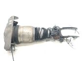 Amortiguador delantero con muelle espiral