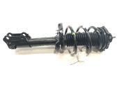 Amortiguador delantero con muelle espiral