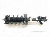 Amortiguador delantero con muelle espiral