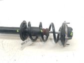 Amortiguador delantero con muelle espiral