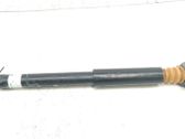 Stoßdämpfer hinten
