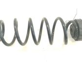 Muelle espiral delantero