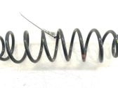 Muelle espiral delantero