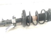 Amortiguador delantero con muelle espiral
