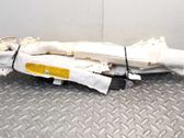 Airbag de la puerta delantera