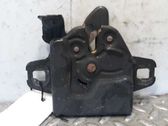 Tie down hook / loop