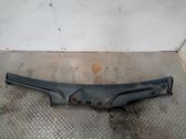 Moldura del parabrisas