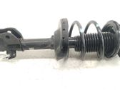 Front shock absorber with coil spring