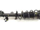 Front shock absorber with coil spring