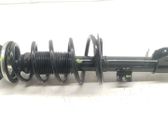 Front shock absorber with coil spring