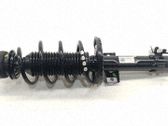 Amortiguador delantero con muelle espiral
