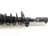 Amortiguador delantero con muelle espiral