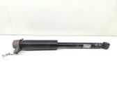 Rear shock absorber/damper