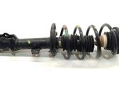 Front shock absorber with coil spring