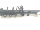Front shock absorber with coil spring