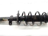 Front shock absorber with coil spring