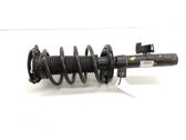 Amortiguador delantero con muelle espiral