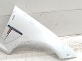 Fender