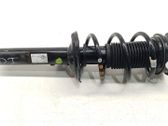 Amortiguador delantero con muelle espiral