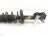Front shock absorber with coil spring