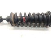 Front shock absorber with coil spring