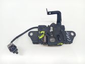 Tie down hook / loop