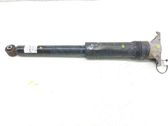 Rear shock absorber/damper