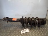 Front shock absorber with coil spring