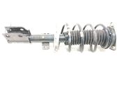 Front shock absorber with coil spring