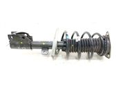 Front shock absorber with coil spring