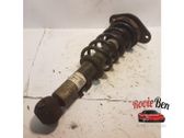 Rear shock absorber/damper