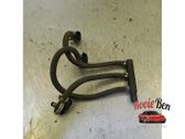 LP gas injector