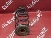 Front coil spring