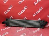 Intercooler radiator