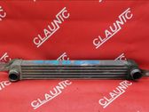 Intercooler radiator