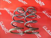 Front coil spring