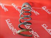 Rear coil spring