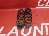 Rear coil spring