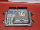 Engine control unit/module ECU