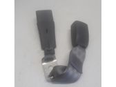 Rear seatbelt buckle
