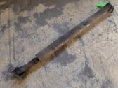 Drive shaft (set)