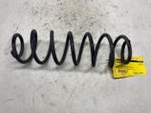 Rear shock absorber with coil spring