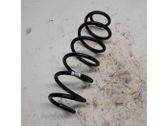 Rear shock absorber with coil spring