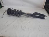 Front shock absorber/damper