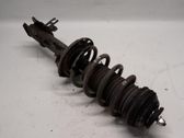 Front shock absorber/damper