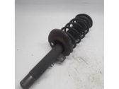 Front shock absorber/damper
