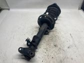 Front shock absorber/damper