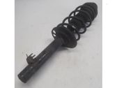 Front shock absorber/damper