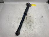 Rear shock absorber/damper