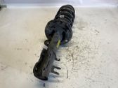 Front shock absorber/damper